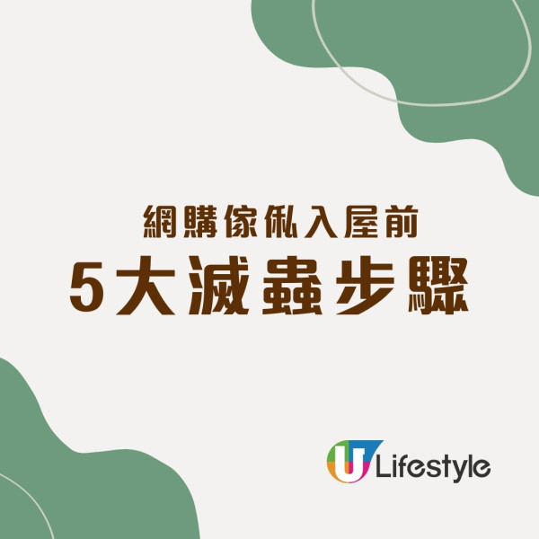 卜泥書蟲解決︱食紙食霉菌真菌每年生1200粒卵 5大方法杜絕書蝨