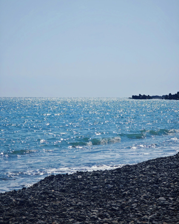 海兒富士山前打卡大曬黑絲誘惑 《中年好聲音3》評審背景超強勁 