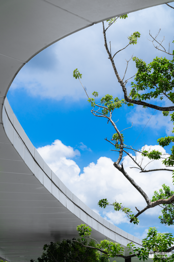 深圳最大城市公園！光明新地標 巨無霸飛碟 絕美天空之鏡 360°觀景台飽覽城市風光 