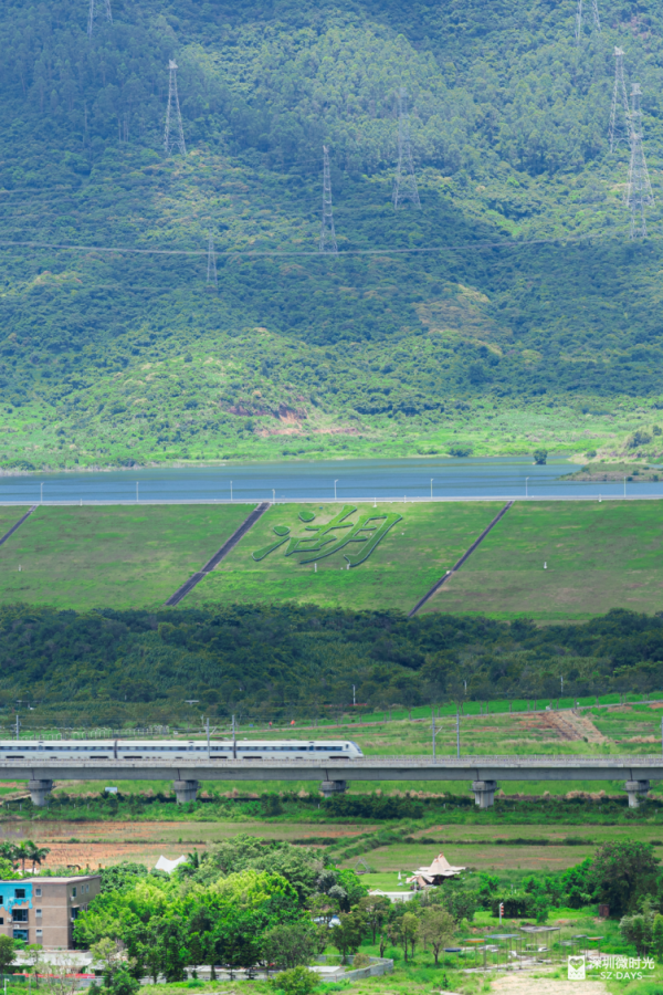深圳最大城市公園！光明新地標 巨無霸飛碟 絕美天空之鏡 360°觀景台飽覽城市風光 