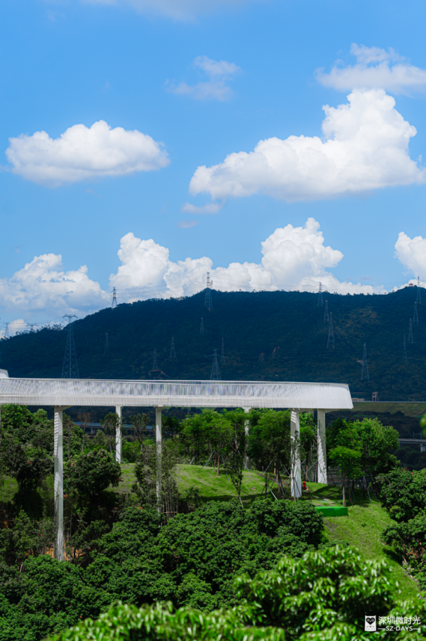 深圳最大城市公園！光明新地標 巨無霸飛碟 絕美天空之鏡 360°觀景台飽覽城市風光 