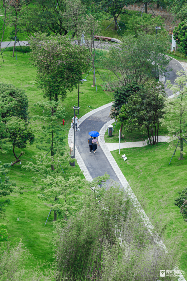 深圳最大城市公園！光明新地標 巨無霸飛碟 絕美天空之鏡 360°觀景台飽覽城市風光 