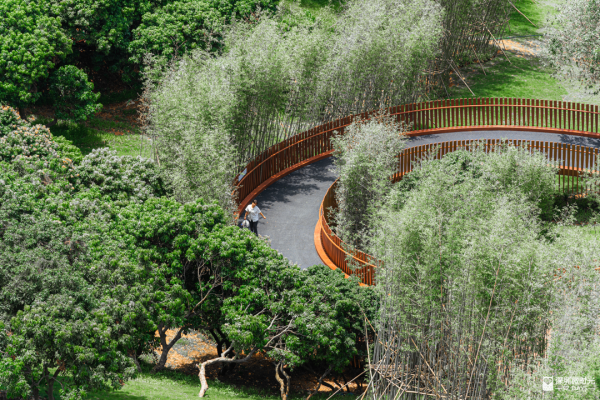 深圳最大城市公園！光明新地標 巨無霸飛碟 絕美天空之鏡 360°觀景台飽覽城市風光 