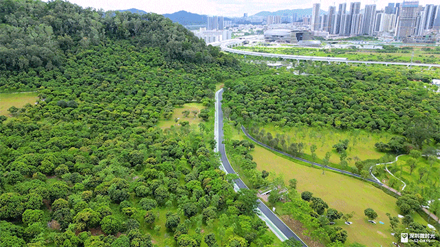 深圳最大城市公園！光明新地標 巨無霸飛碟 絕美天空之鏡 360°觀景台飽覽城市風光 