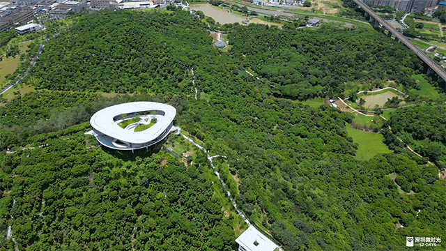 深圳最大城市公園！光明新地標 巨無霸飛碟 絕美天空之鏡 360°觀景台飽覽城市風光 