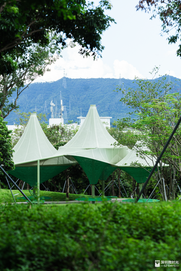 深圳最大城市公園！光明新地標 巨無霸飛碟 絕美天空之鏡 360°觀景台飽覽城市風光 