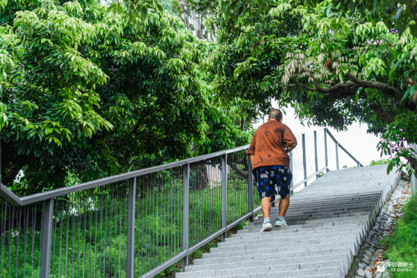 深圳最大城市公園！光明新地標 巨無霸飛碟 絕美天空之鏡 360°觀景台飽覽城市風光 