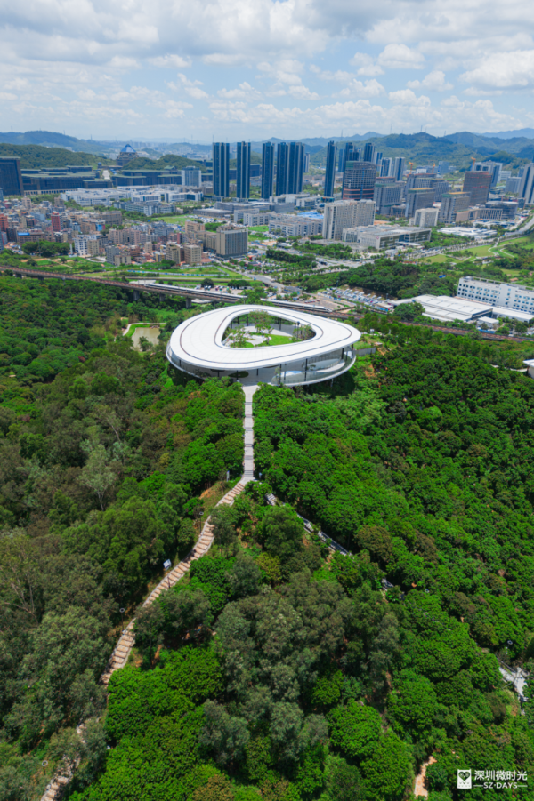 深圳最大城市公園！光明新地標 巨無霸飛碟 絕美天空之鏡 360°觀景台飽覽城市風光 