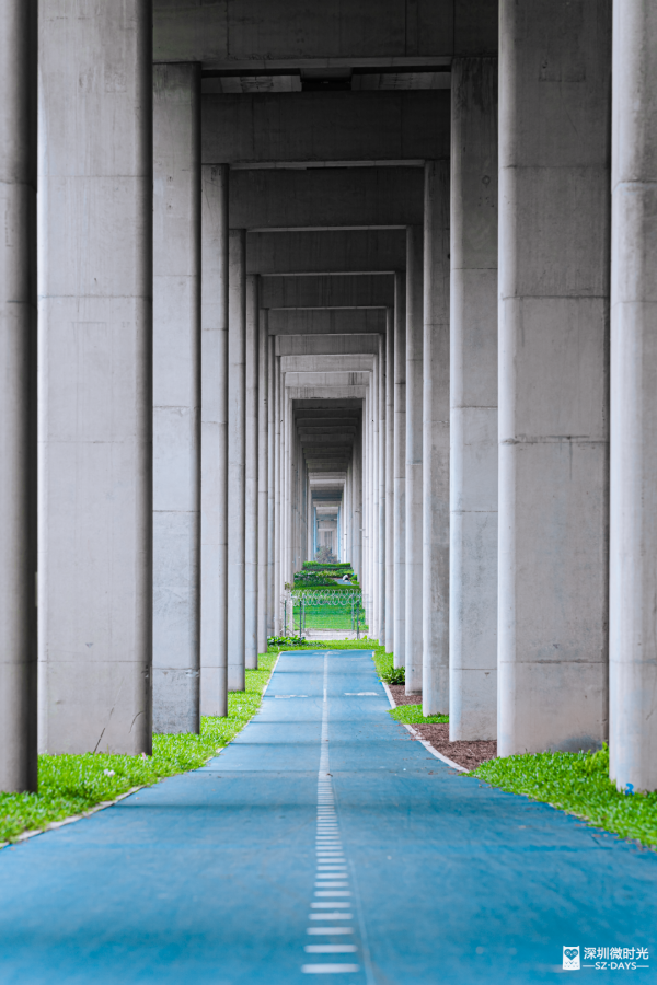深圳新橋底綠道 打卡必去工業風水泥橋 一望無際紅樹林公園 