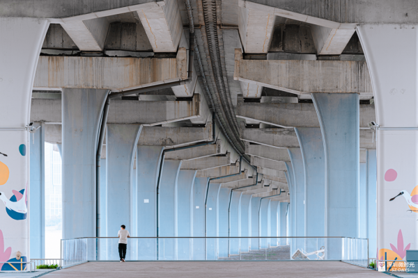 深圳新橋底綠道 打卡必去工業風水泥橋 一望無際紅樹林公園 