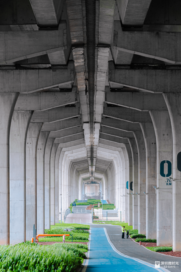 深圳新橋底綠道 打卡必去工業風水泥橋 一望無際紅樹林公園 