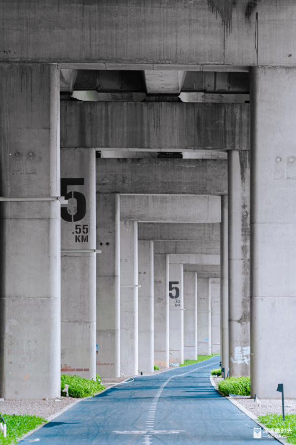 深圳新橋底綠道 打卡必去工業風水泥橋 一望無際紅樹林公園 