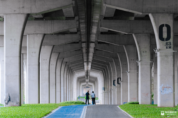 深圳新橋底綠道 打卡必去工業風水泥橋 一望無際紅樹林公園 