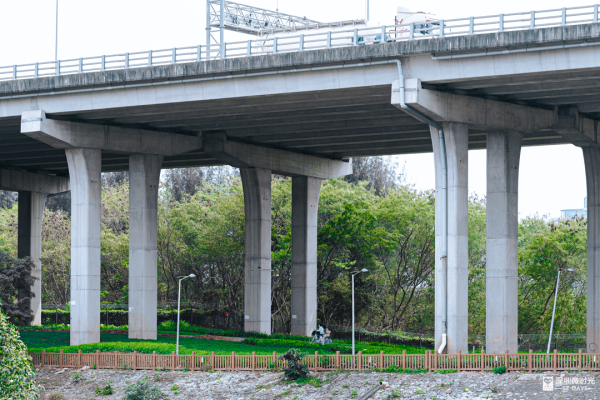 深圳新橋底綠道 打卡必去工業風水泥橋 一望無際紅樹林公園 