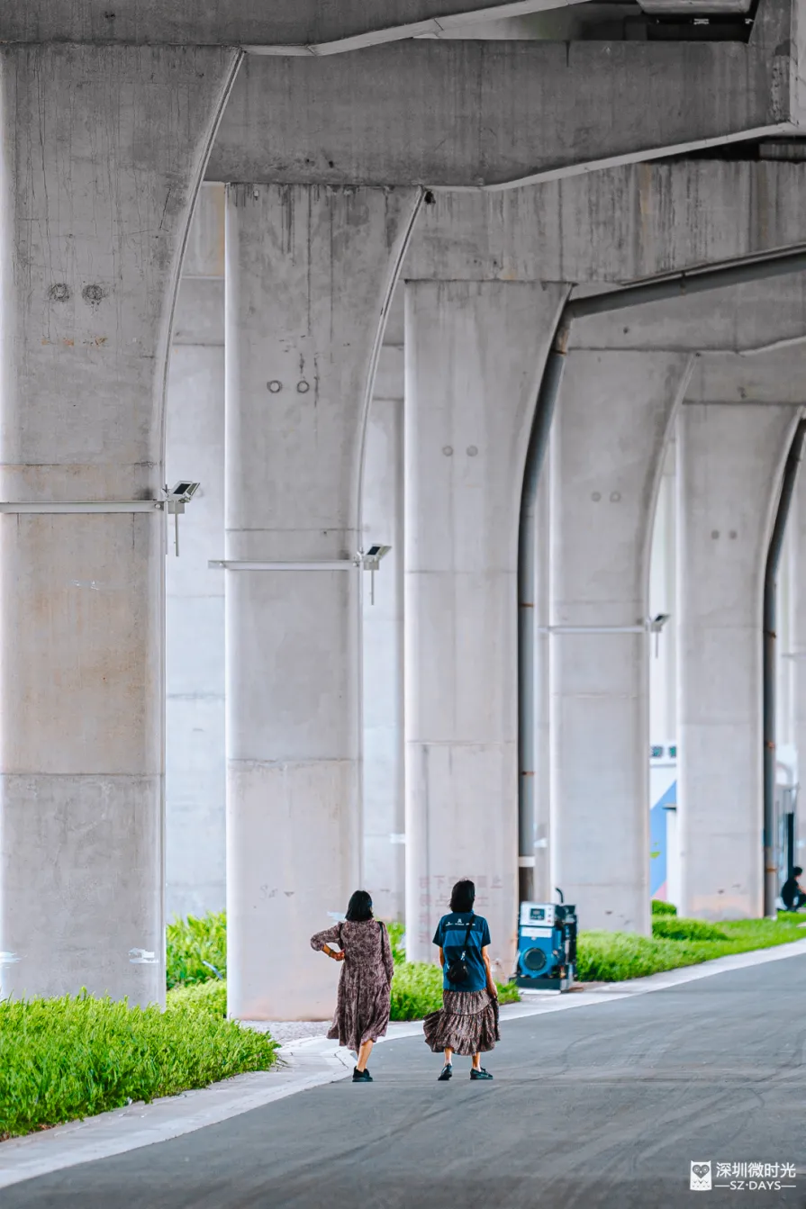 深圳新橋底綠道 打卡必去工業風水泥橋 一望無際紅樹林公園 