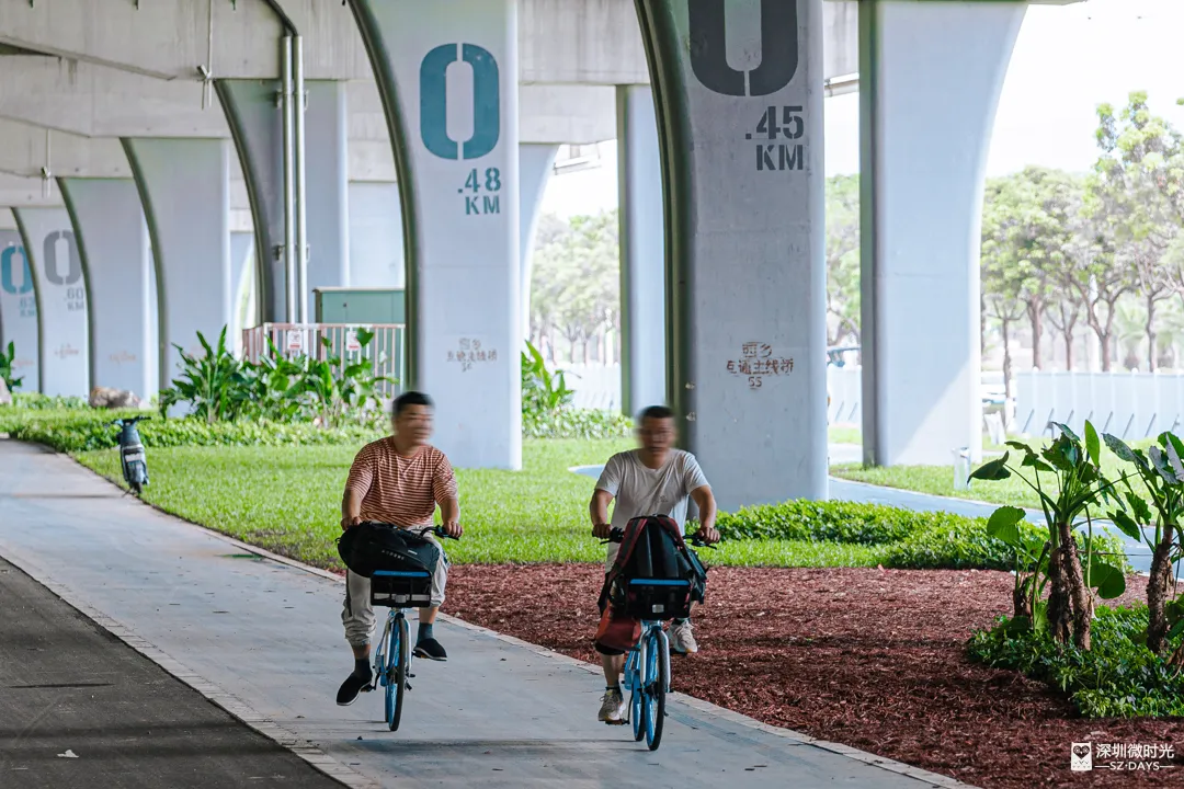 深圳新橋底綠道 打卡必去工業風水泥橋 一望無際紅樹林公園 