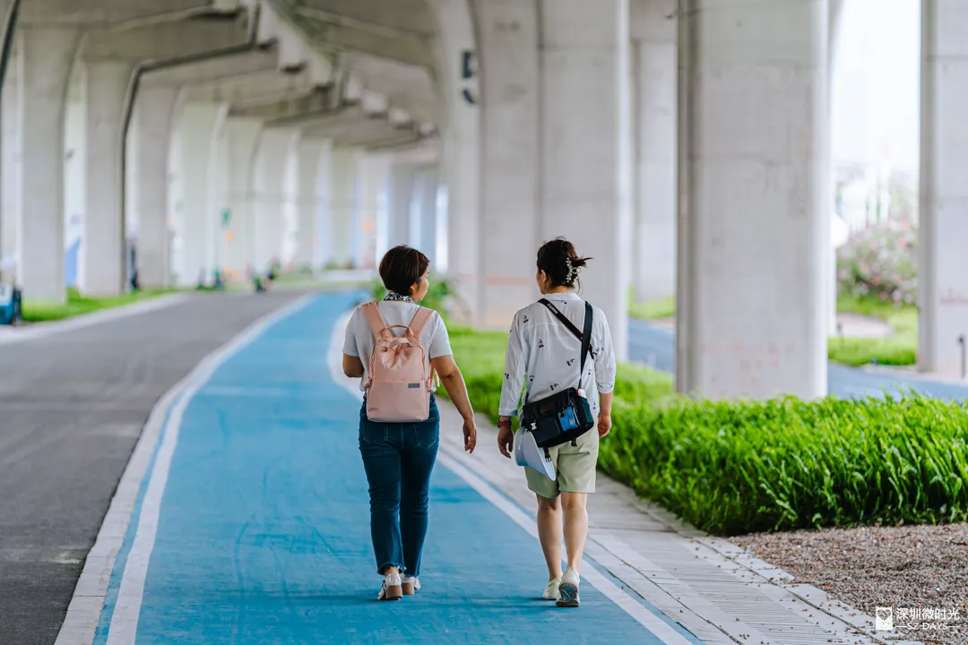 深圳新橋底綠道 打卡必去工業風水泥橋 一望無際紅樹林公園 