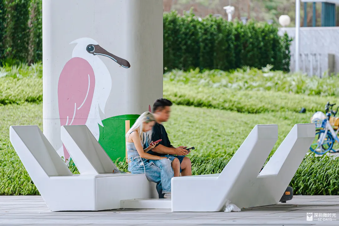 深圳新橋底綠道 打卡必去工業風水泥橋 一望無際紅樹林公園 