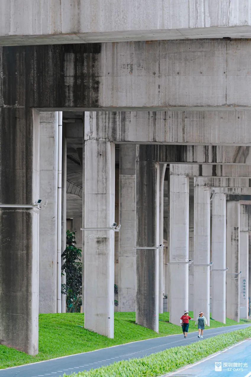 深圳新橋底綠道 打卡必去工業風水泥橋 一望無際紅樹林公園 