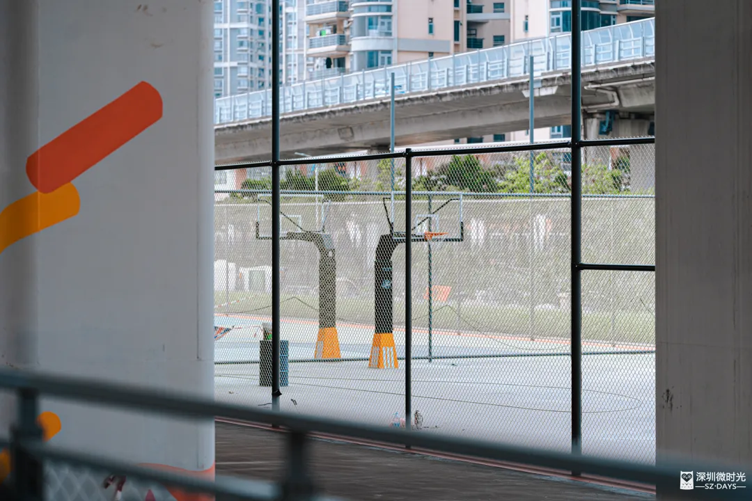 深圳新橋底綠道 打卡必去工業風水泥橋 一望無際紅樹林公園 