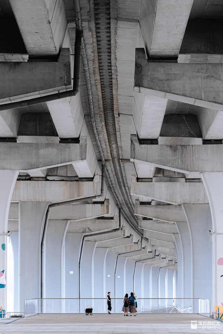 深圳新橋底綠道 打卡必去工業風水泥橋 一望無際紅樹林公園 