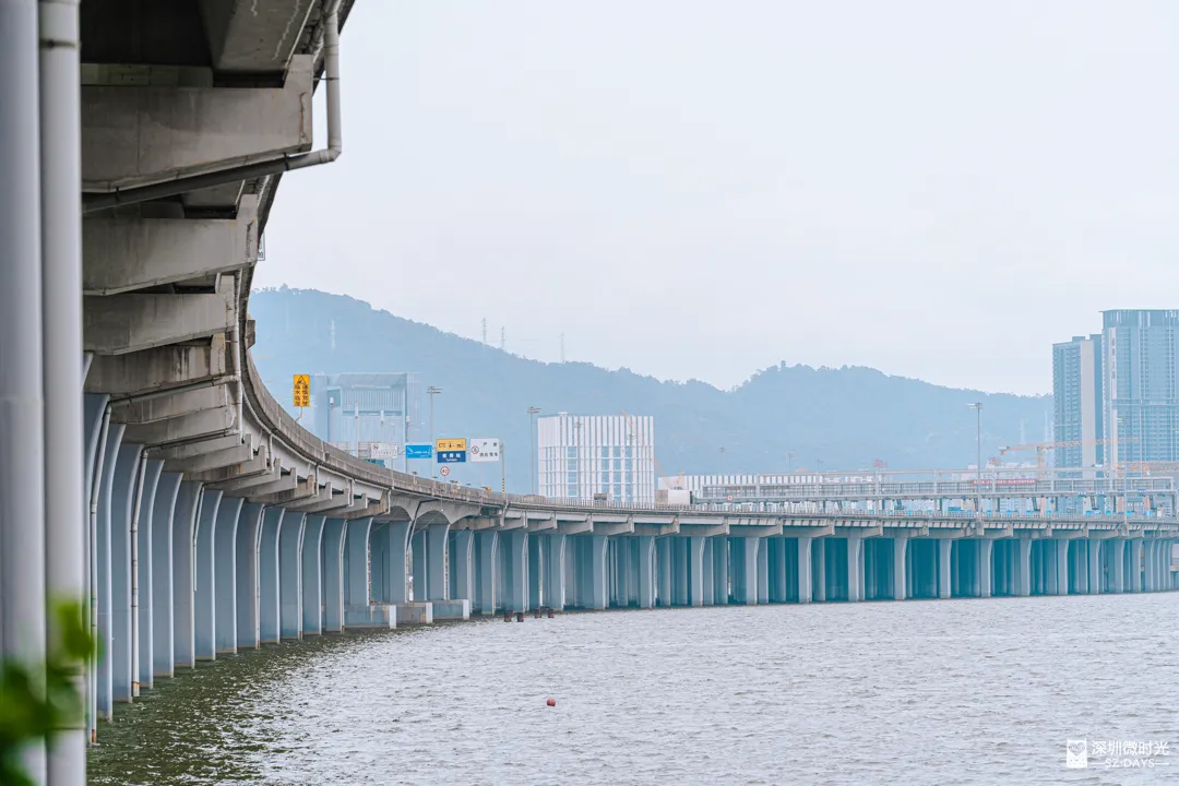 深圳新橋底綠道 打卡必去工業風水泥橋 一望無際紅樹林公園 