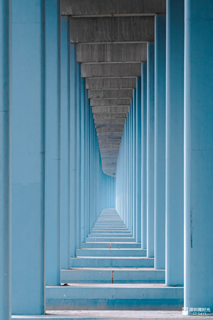 深圳新橋底綠道 打卡必去工業風水泥橋 一望無際紅樹林公園 