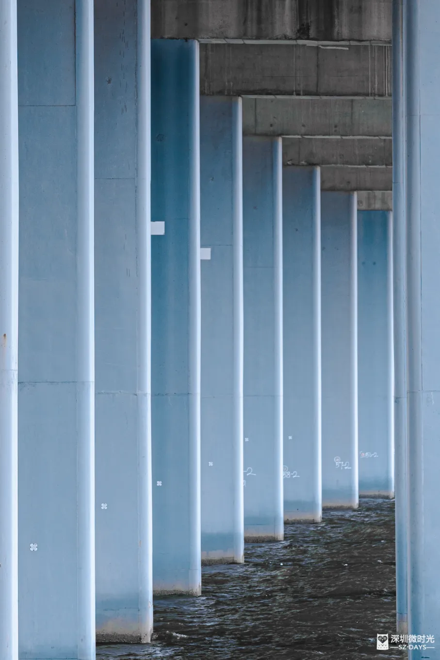 深圳新橋底綠道 打卡必去工業風水泥橋 一望無際紅樹林公園 