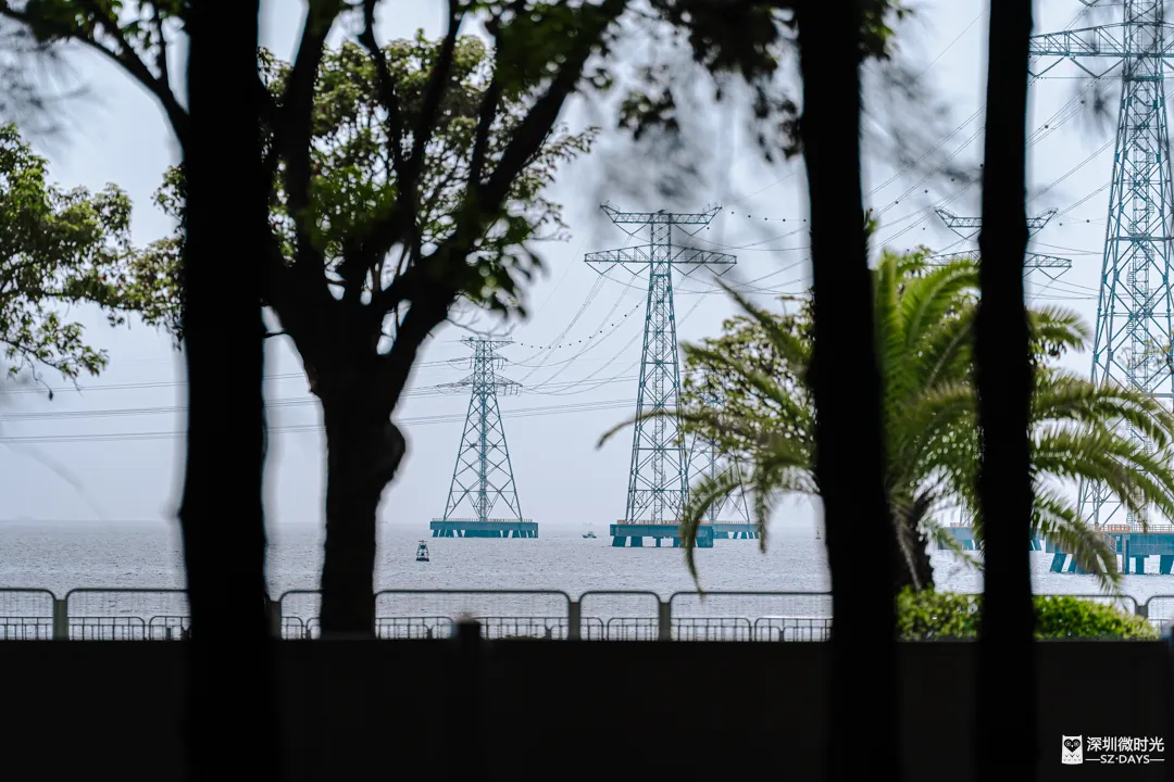 深圳新橋底綠道 打卡必去工業風水泥橋 一望無際紅樹林公園 