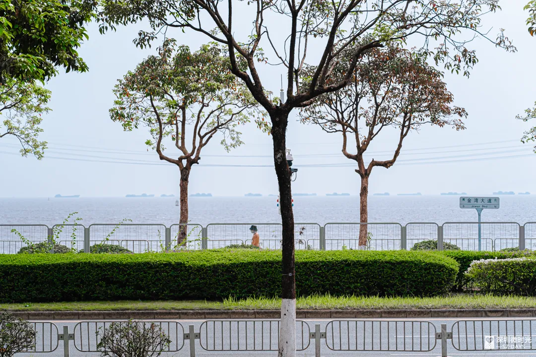 深圳新橋底綠道 打卡必去工業風水泥橋 一望無際紅樹林公園 