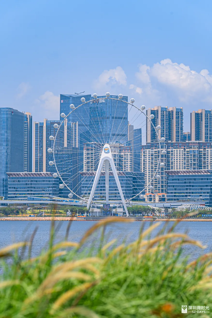 深圳新橋底綠道 打卡必去工業風水泥橋 一望無際紅樹林公園 
