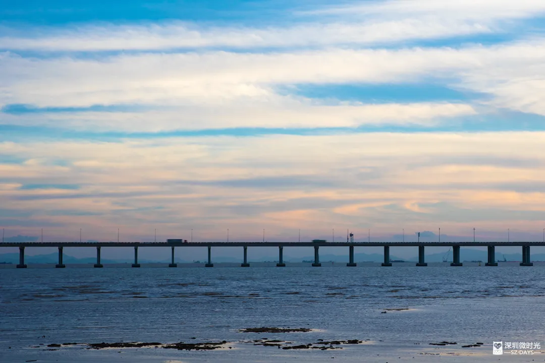 深圳新橋底綠道 打卡必去工業風水泥橋 一望無際紅樹林公園 