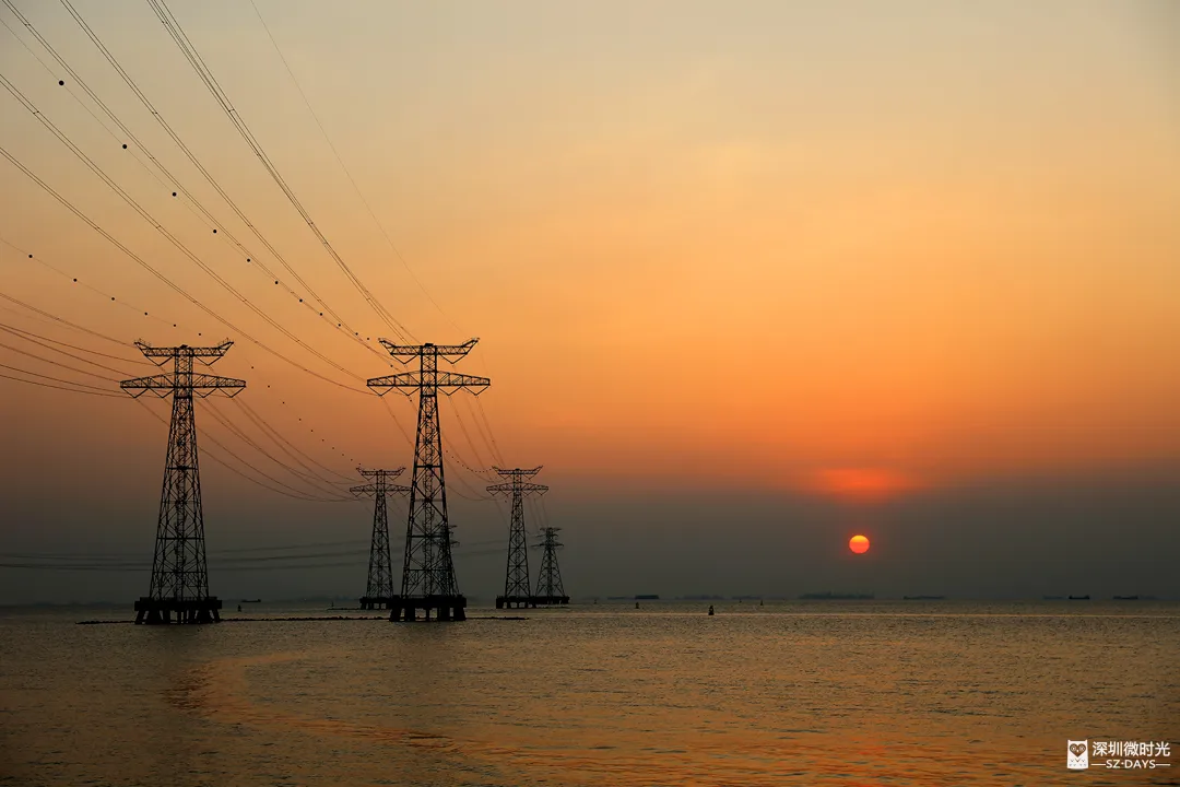 深圳新橋底綠道 打卡必去工業風水泥橋 一望無際紅樹林公園 