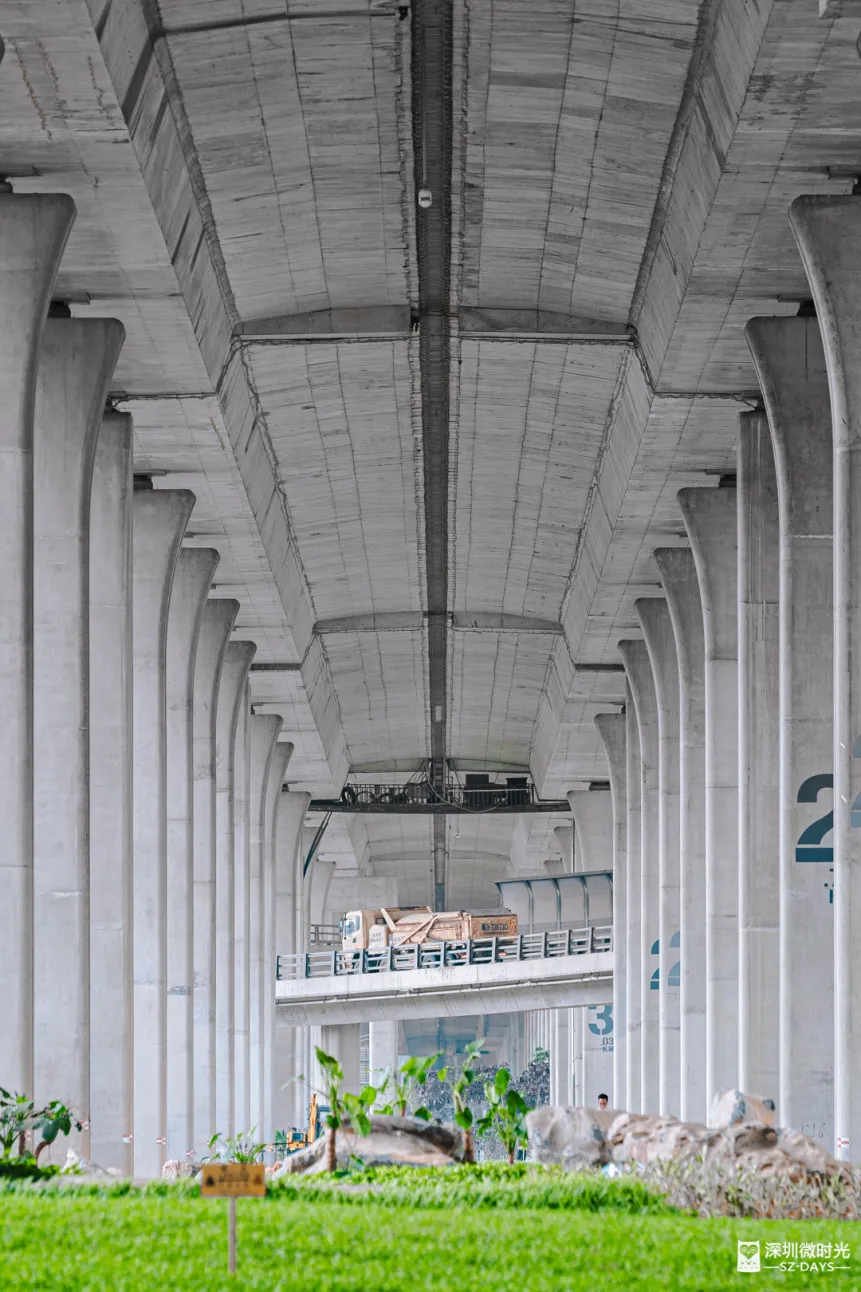 深圳新橋底綠道 打卡必去工業風水泥橋 一望無際紅樹林公園 