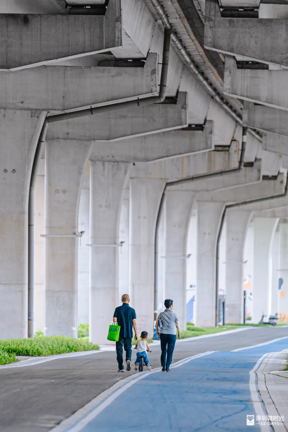 深圳新橋底綠道 打卡必去工業風水泥橋 一望無際紅樹林公園 