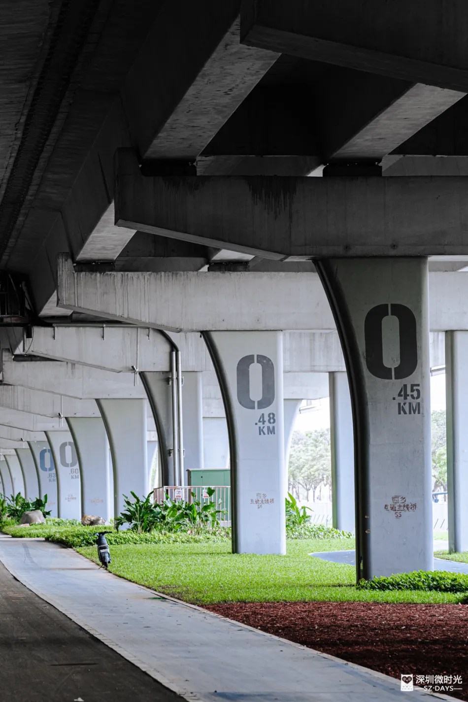 深圳新橋底綠道 打卡必去工業風水泥橋 一望無際紅樹林公園 