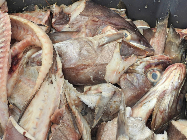 轉季濕疹皮膚敏感周身痕！6種食物助舒緩 3種食物忌吃／齋啡都出事？