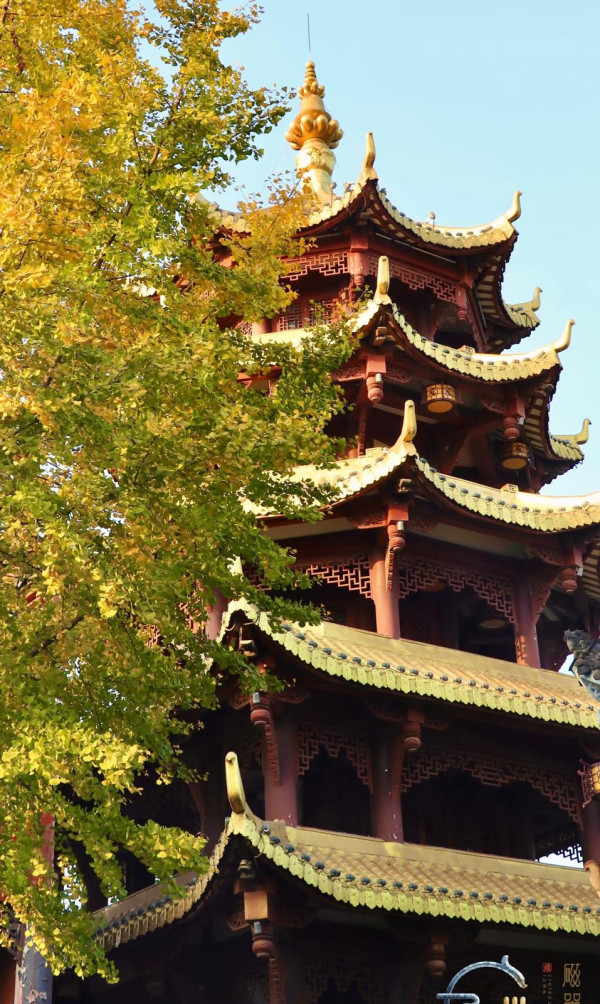 重慶旅遊10大必去特色景點 洪崖洞夜景、 世界文化遺產大足石刻、李子壩輕軌 