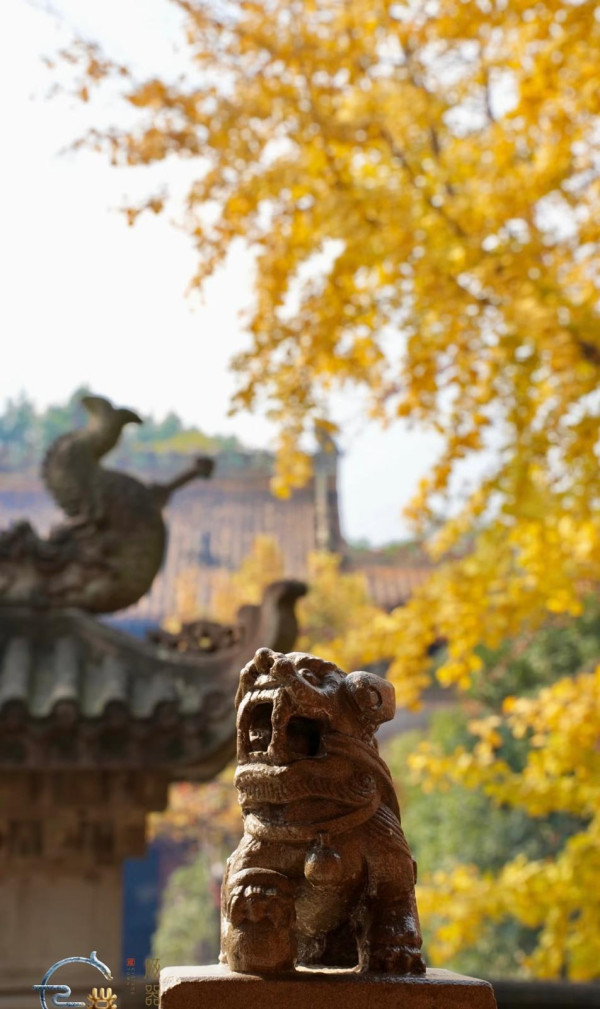 重慶旅遊10大必去特色景點 洪崖洞夜景、 世界文化遺產大足石刻、李子壩輕軌 