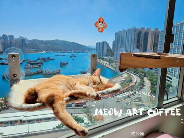 Meow Art Coffee喵公館（圖片來源：IG@meow_art_coffee）