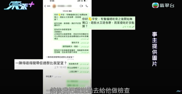 無牌獸醫疑令貓貓染貓瘟死亡！貓貓2年前已感染過貓瘟？事件成「羅生門」誰對誰錯成迷！，影片截圖，來源︰《東張西望》。