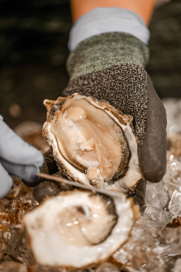 $378起！Mr. Steak X 柏麗廳日本和牛海鮮自助餐   40kg吞拿魚解體表演／火炙和牛／即開⽣蠔