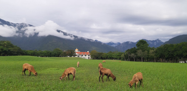台灣花蓮景點 花蓮新光兆豐休閒農場（圖片來源：Facebook@花蓮新光兆豐休閒農場）