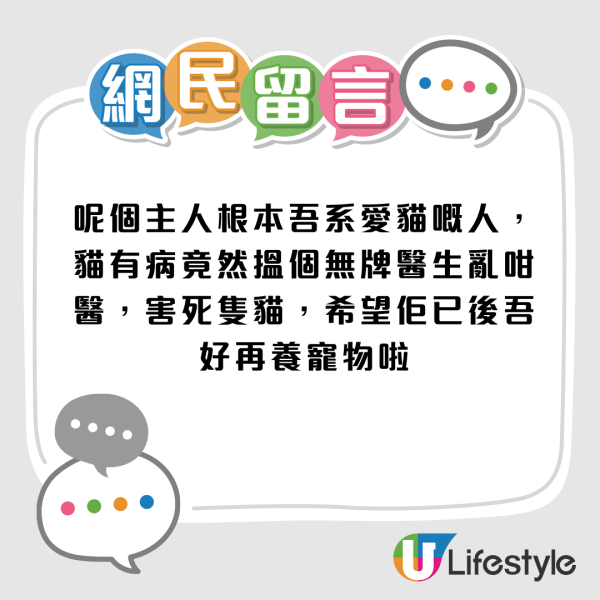 東張西望｜貓主控訴無牌獸醫令貓貓染貓瘟離世？事件大反轉成「羅生門」 網民：自己害死隻貓