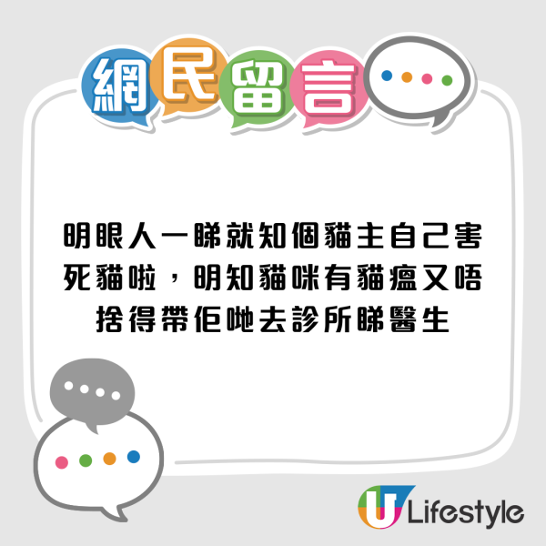 東張西望｜貓主控訴無牌獸醫令貓貓染貓瘟離世？事件大反轉成「羅生門」 網民：自己害死隻貓