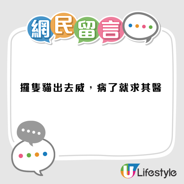 東張西望｜貓主控訴無牌獸醫令貓貓染貓瘟離世？事件大反轉成「羅生門」 網民：自己害死隻貓