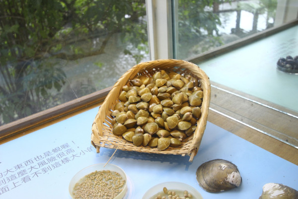 台灣花蓮景點 立川漁場（圖片來源：花蓮觀光資訊網）