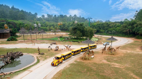 廣州動物園攻略:門票/景點/交通/景點!與長隆動物園有何分別? 廣州動物園攻略:門票/景點/交通/景點!與長隆動物園有何分別?