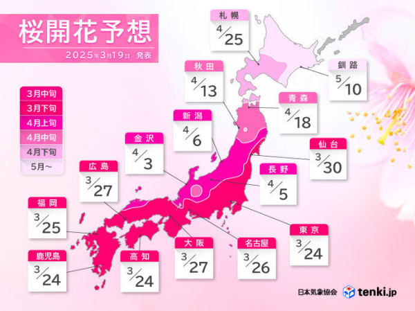 日本櫻花｜關東多地下週天氣急升至25度！ 料東京櫻花24號全國最早開花 