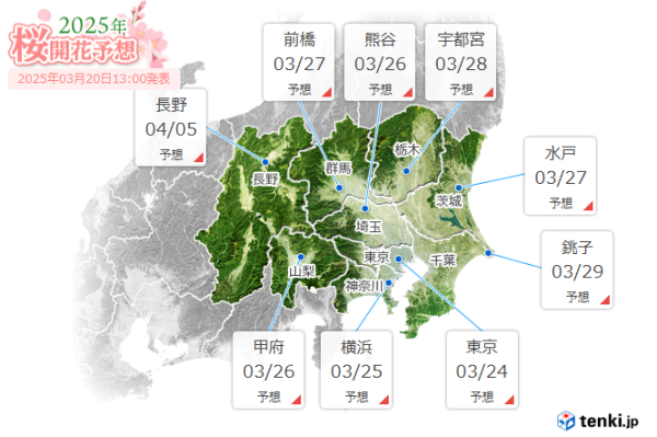 日本櫻花｜關東多地下週天氣急升至25度！ 料東京櫻花24號全國最早開花 